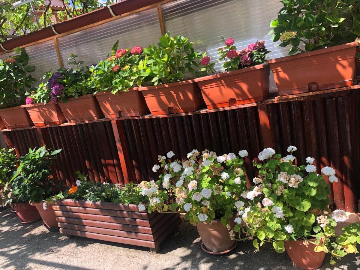 Natasha'S Home Perama  Ngoại thất bức ảnh