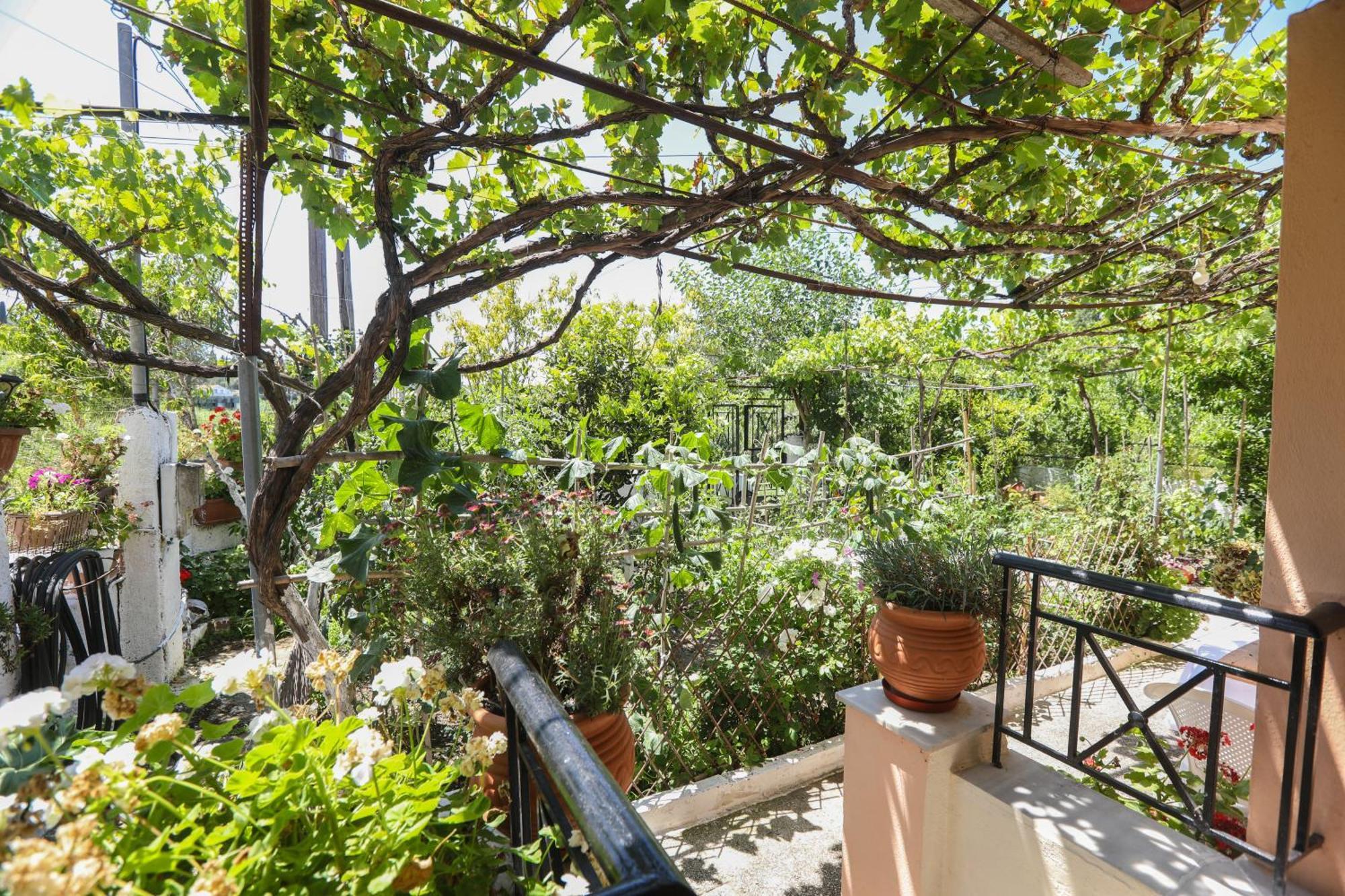 Natasha'S Home Perama  Ngoại thất bức ảnh